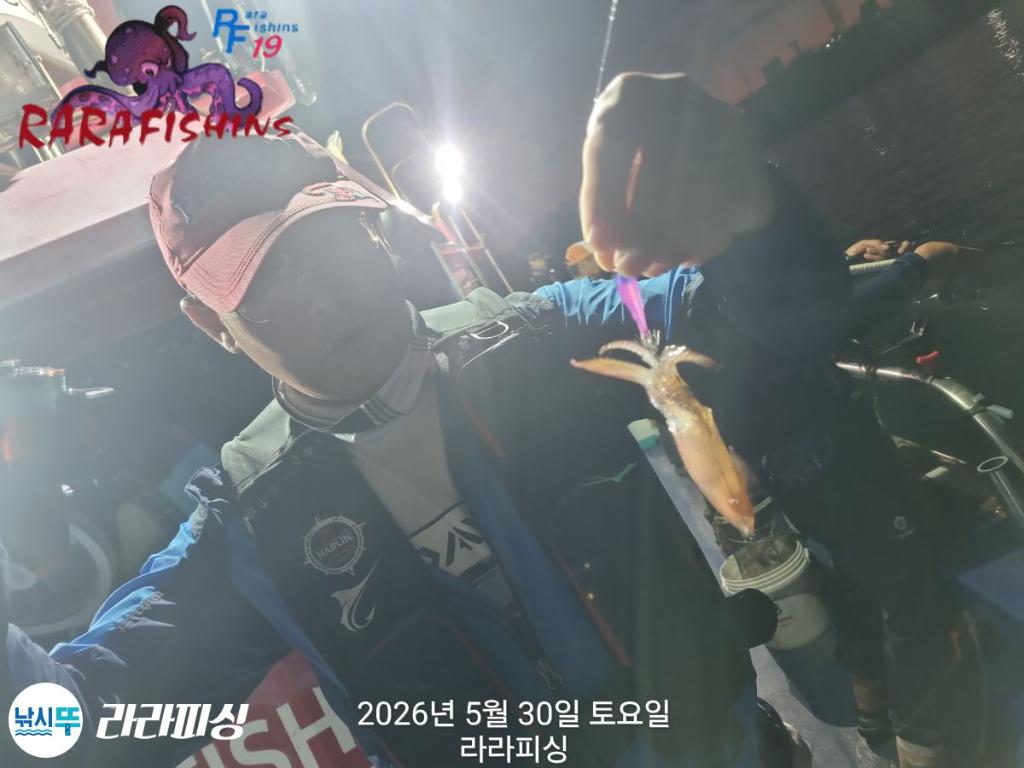 낚시뚜,화살촉오징어,속천항(진해),라라피싱,낚시뚜8