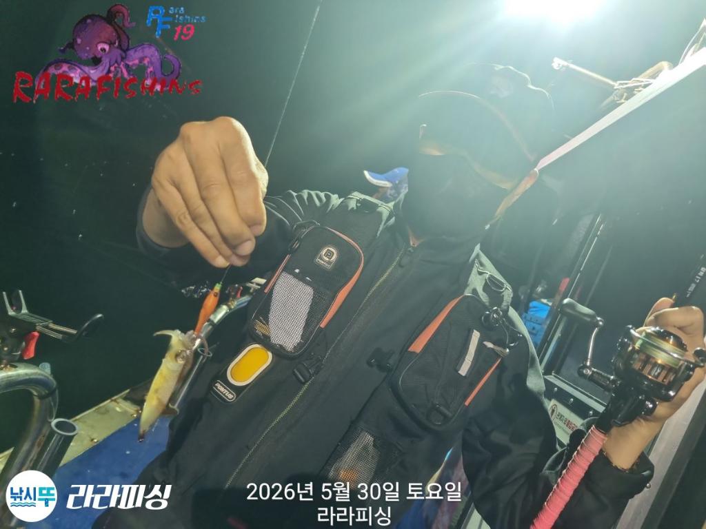 낚시뚜,화살촉오징어,속천항(진해),라라피싱,낚시뚜4