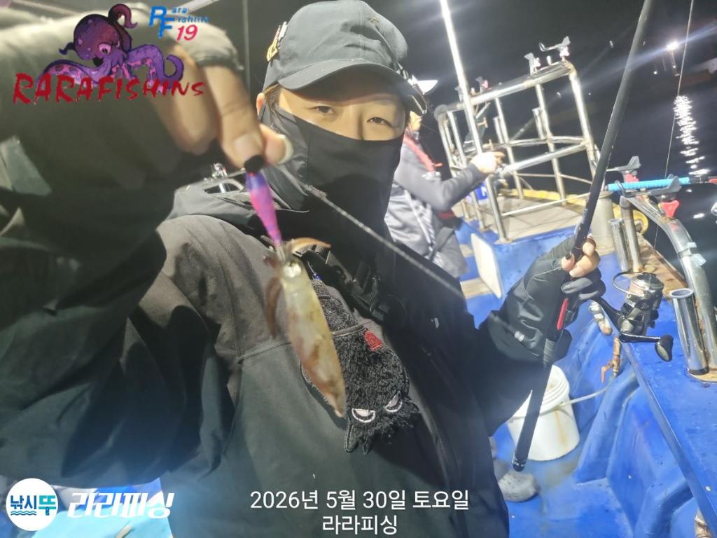 낚시뚜,화살촉오징어,속천항(진해),라라피싱,낚시뚜6