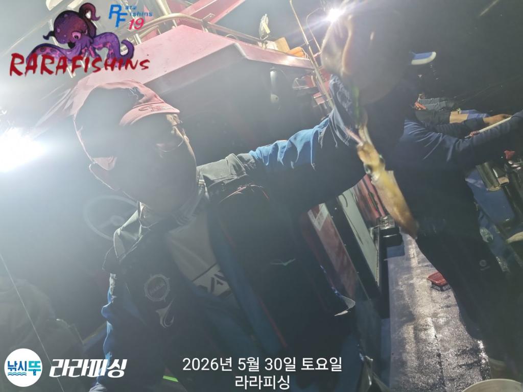 낚시뚜,화살촉오징어,속천항(진해),라라피싱,낚시뚜2