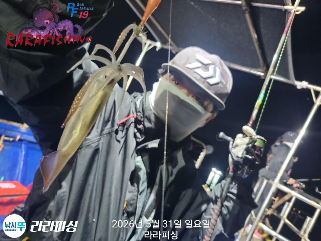 낚시뚜,화살촉오징어,속천항(진해),라라피싱,낚시뚜7