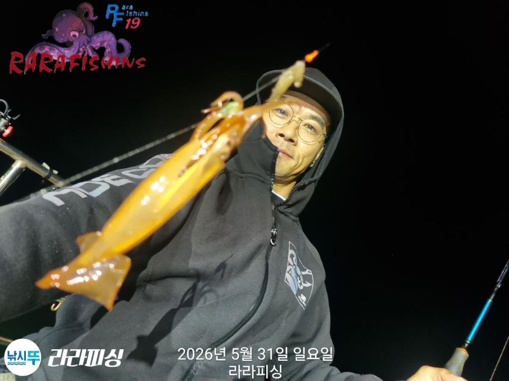 낚시뚜,화살촉오징어,속천항(진해),라라피싱,낚시뚜6