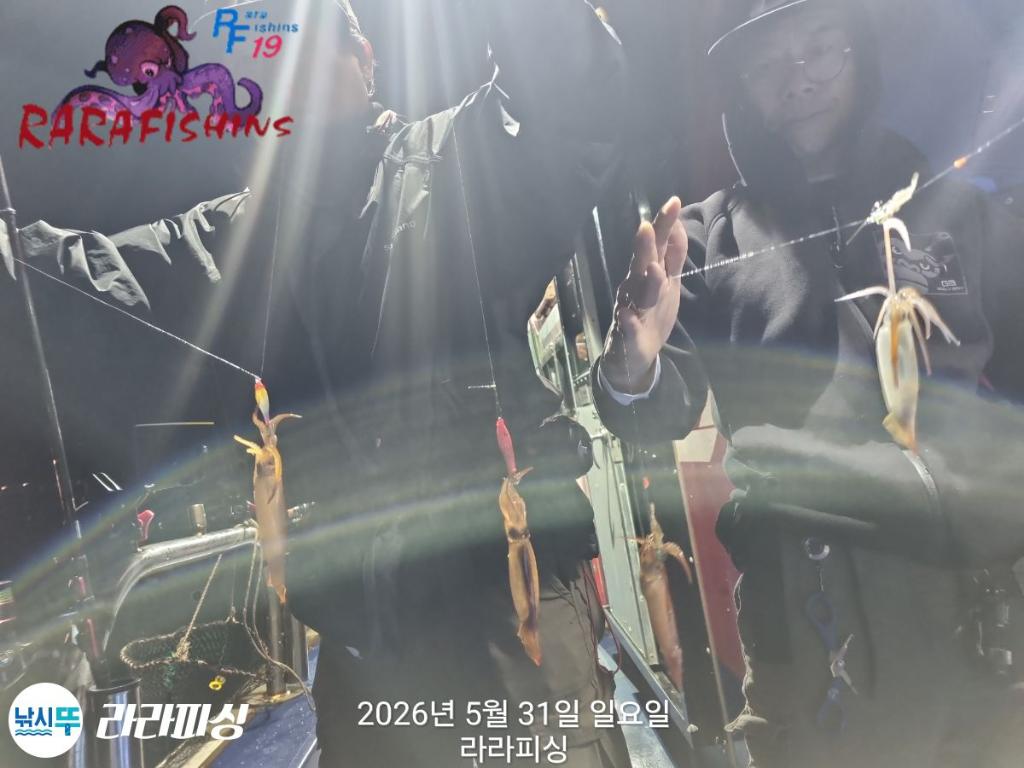 낚시뚜,화살촉오징어,속천항(진해),라라피싱,낚시뚜5