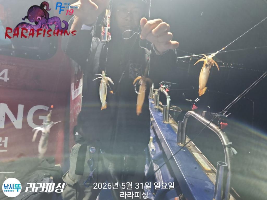 낚시뚜,화살촉오징어,속천항(진해),라라피싱,낚시뚜2