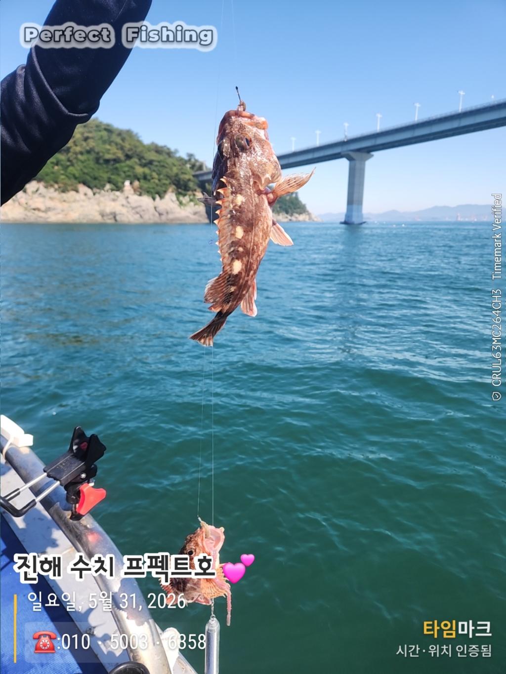 낚시뚜,기타 (직접입력),진해 수치마을 방파제,퍼펙트호,낚시뚜0