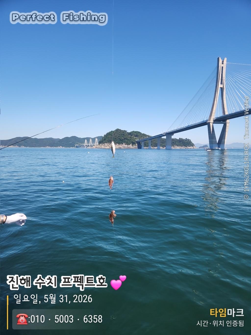 낚시뚜,기타 (직접입력),진해 수치마을 방파제,퍼펙트호,낚시뚜3