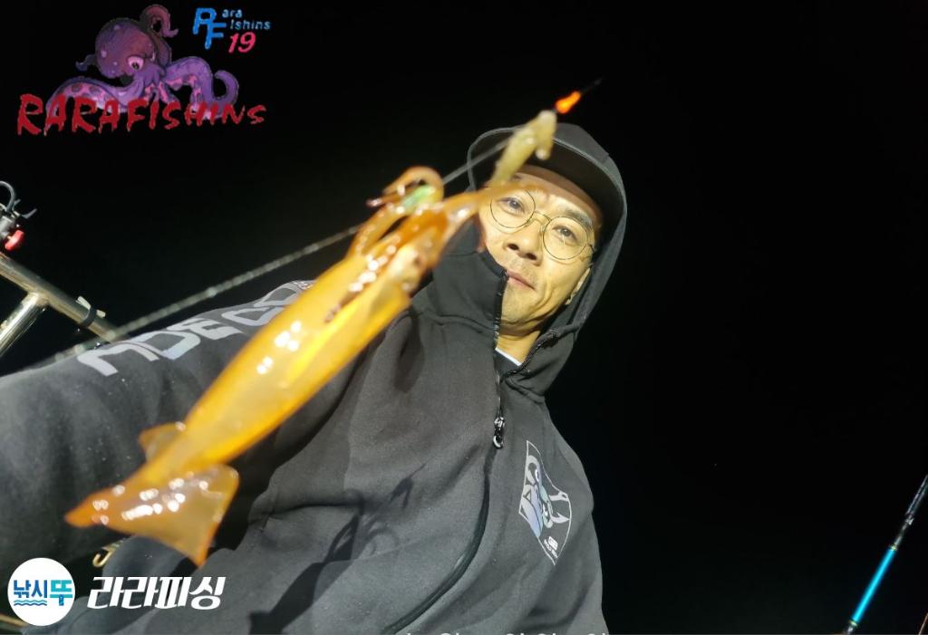 낚시뚜,화살촉오징어,속천항(진해),라라피싱,낚시뚜6