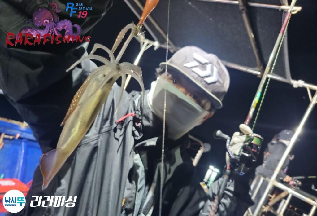 낚시뚜,화살촉오징어,속천항(진해),라라피싱,낚시뚜5