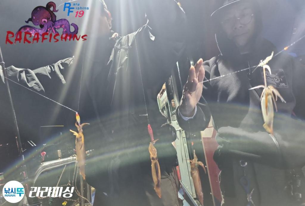 낚시뚜,화살촉오징어,속천항(진해),라라피싱,낚시뚜3