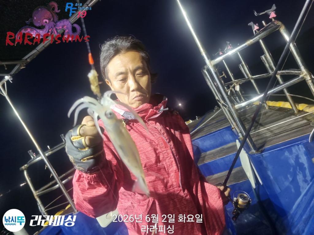 낚시뚜,화살촉오징어,속천항(진해),라라피싱,낚시뚜11