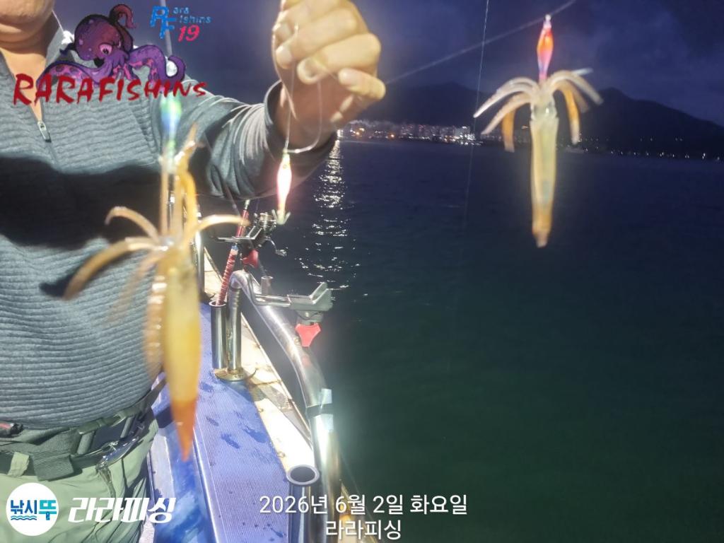 낚시뚜,화살촉오징어,속천항(진해),라라피싱,낚시뚜11