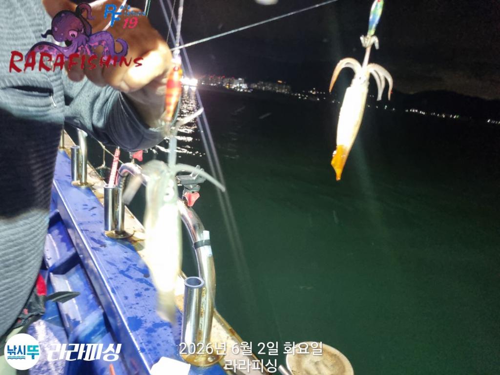 낚시뚜,화살촉오징어,속천항(진해),라라피싱,낚시뚜4