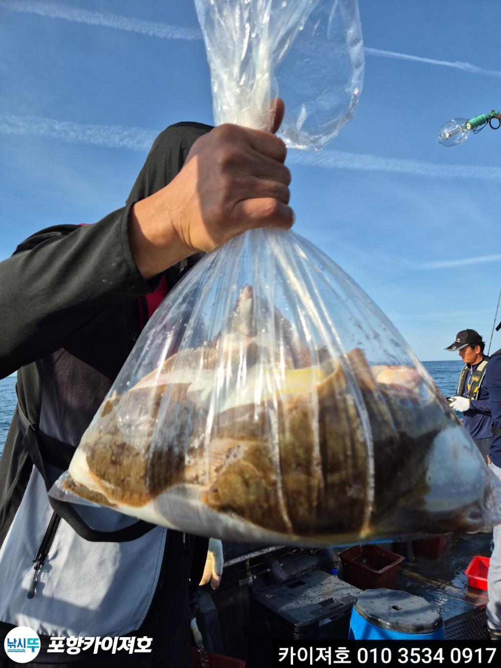낚시뚜,도다리,영일만항,포항카이져호,낚시뚜54