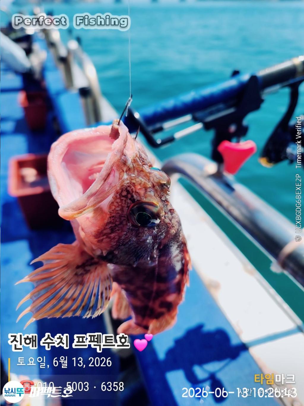 낚시뚜,쏨뱅이,진해 수치마을 방파제,퍼펙트호,낚시뚜9