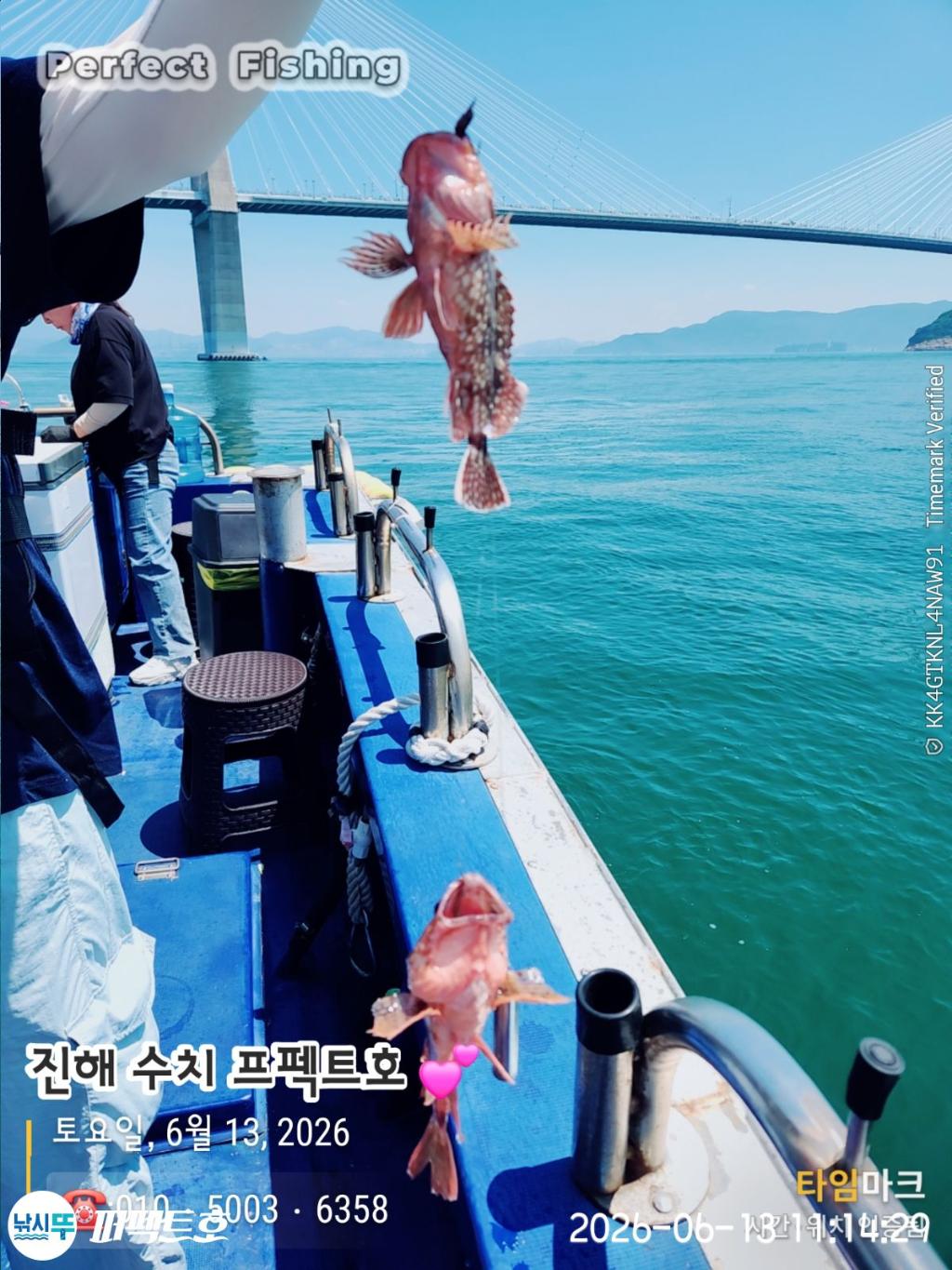 낚시뚜,쏨뱅이,진해 수치마을 방파제,퍼펙트호,낚시뚜5