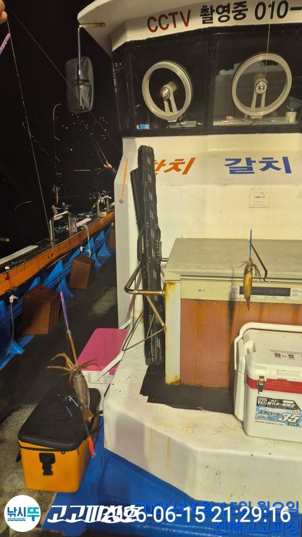 낚시뚜,화살촉오징어,속천항(진해),고고피싱호,낚시뚜6