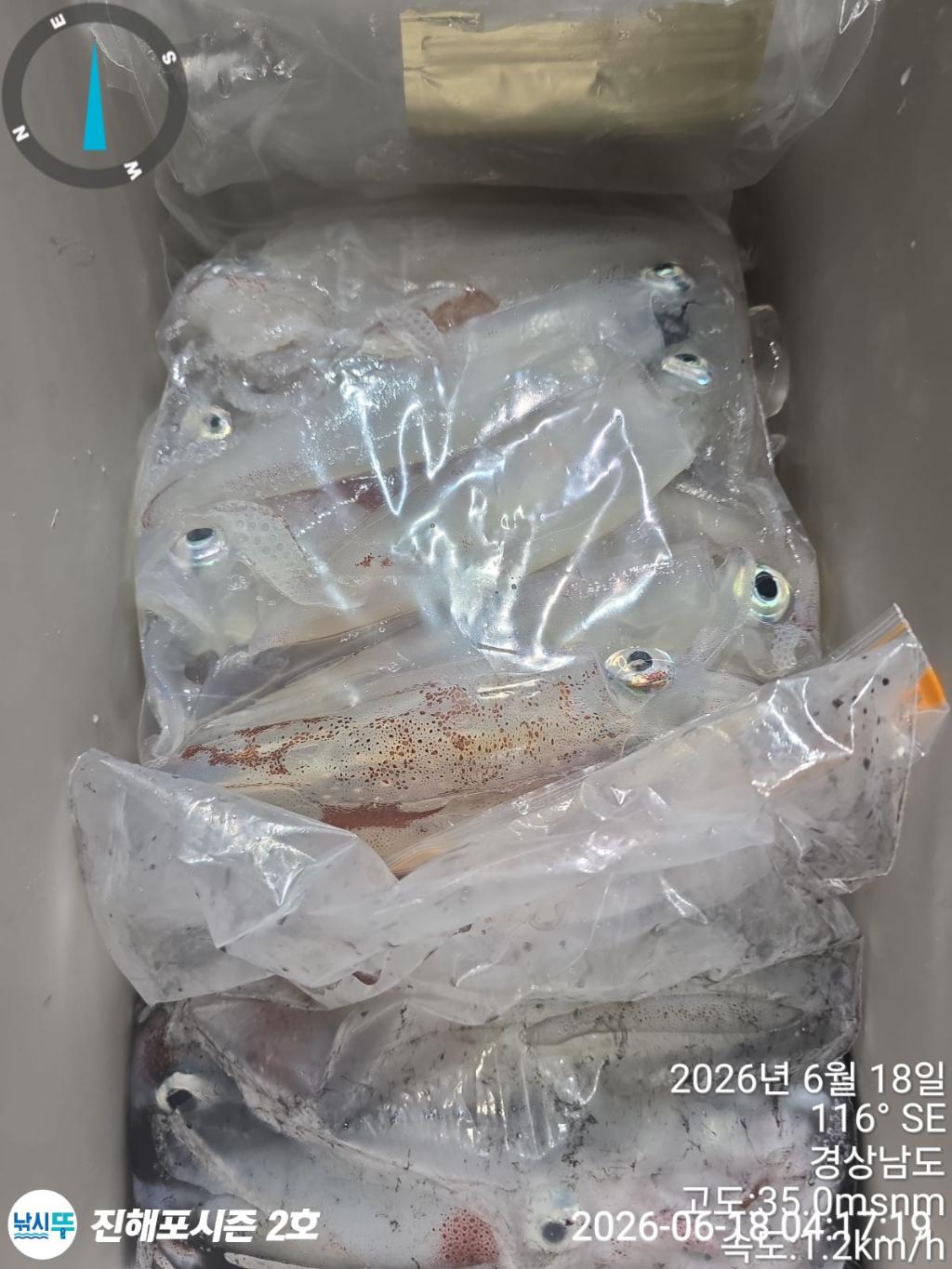 낚시뚜,한치,진해행암항,진해포시즌 2호,낚시뚜7
