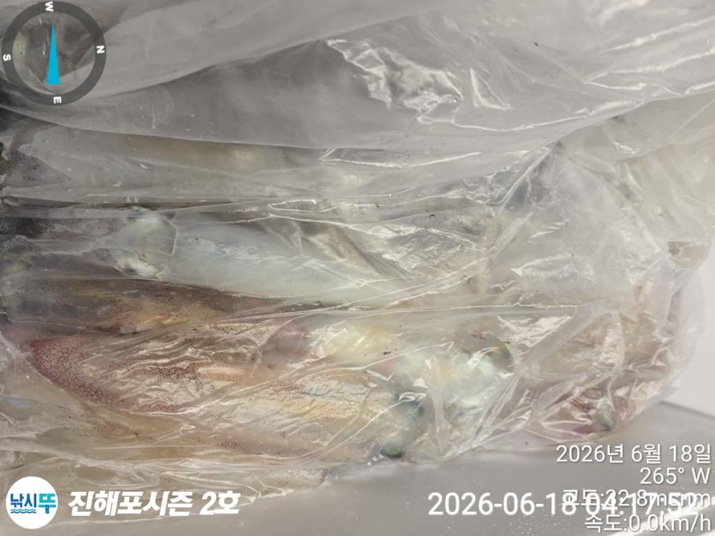 낚시뚜,한치,진해행암항,진해포시즌 2호,낚시뚜6