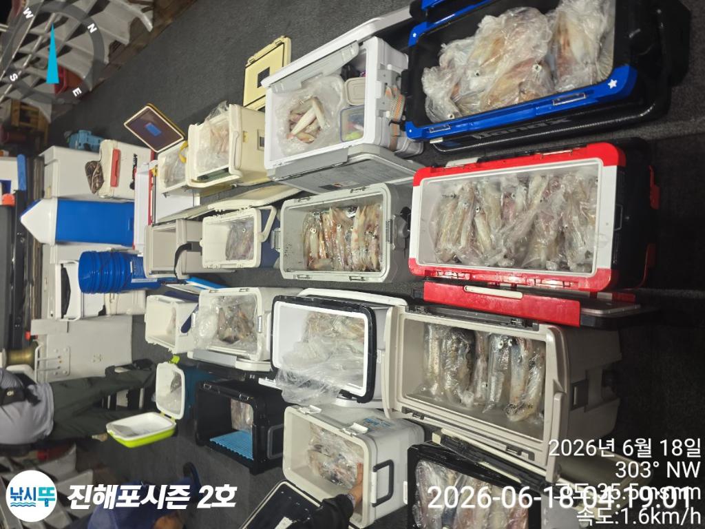 낚시뚜,한치,진해행암항,진해포시즌 2호,낚시뚜3