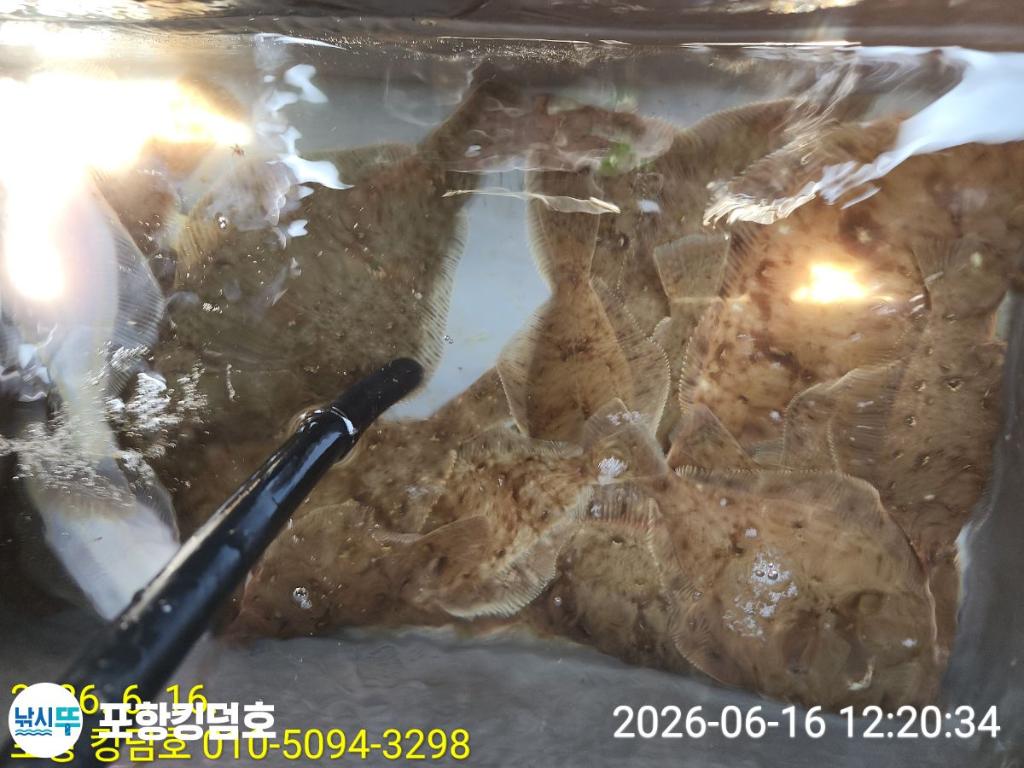 낚시뚜,도다리,영일만항,포항 킹덤호,낚시뚜31