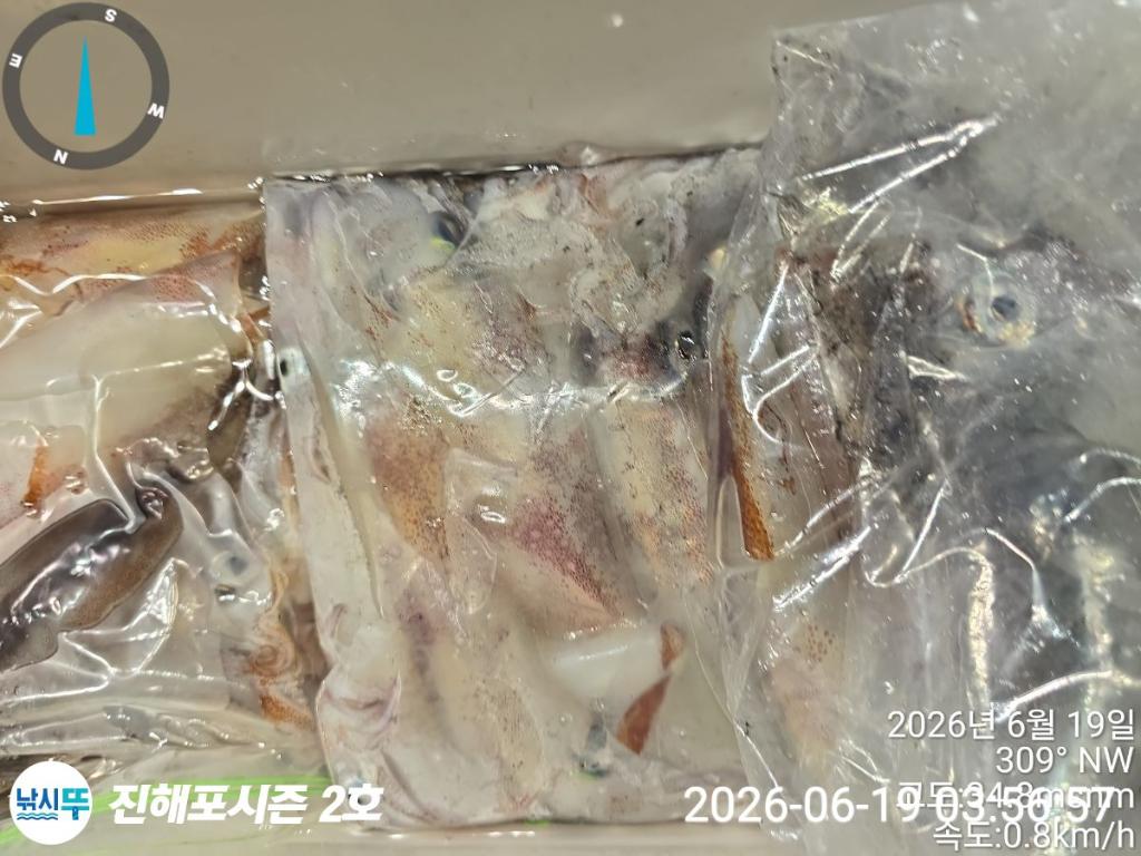 낚시뚜,한치,진해행암항,진해포시즌 2호,낚시뚜22