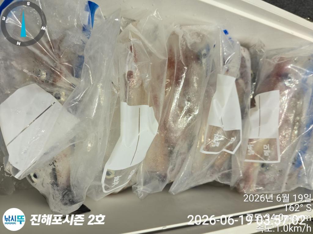 낚시뚜,한치,진해행암항,진해포시즌 2호,낚시뚜21