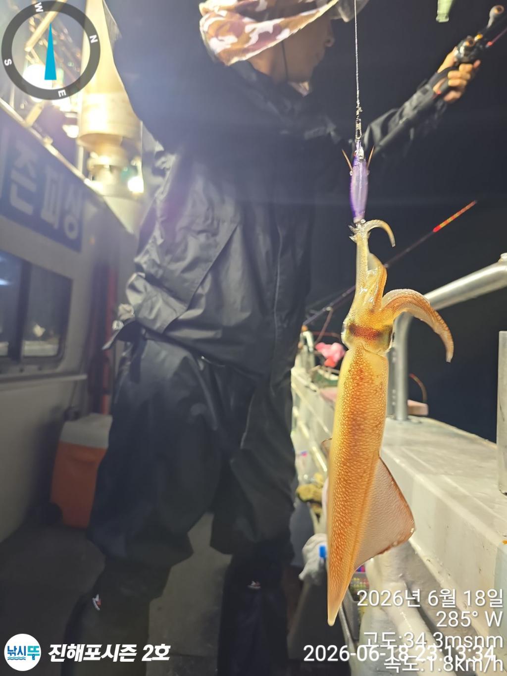 낚시뚜,한치,진해행암항,진해포시즌 2호,낚시뚜8