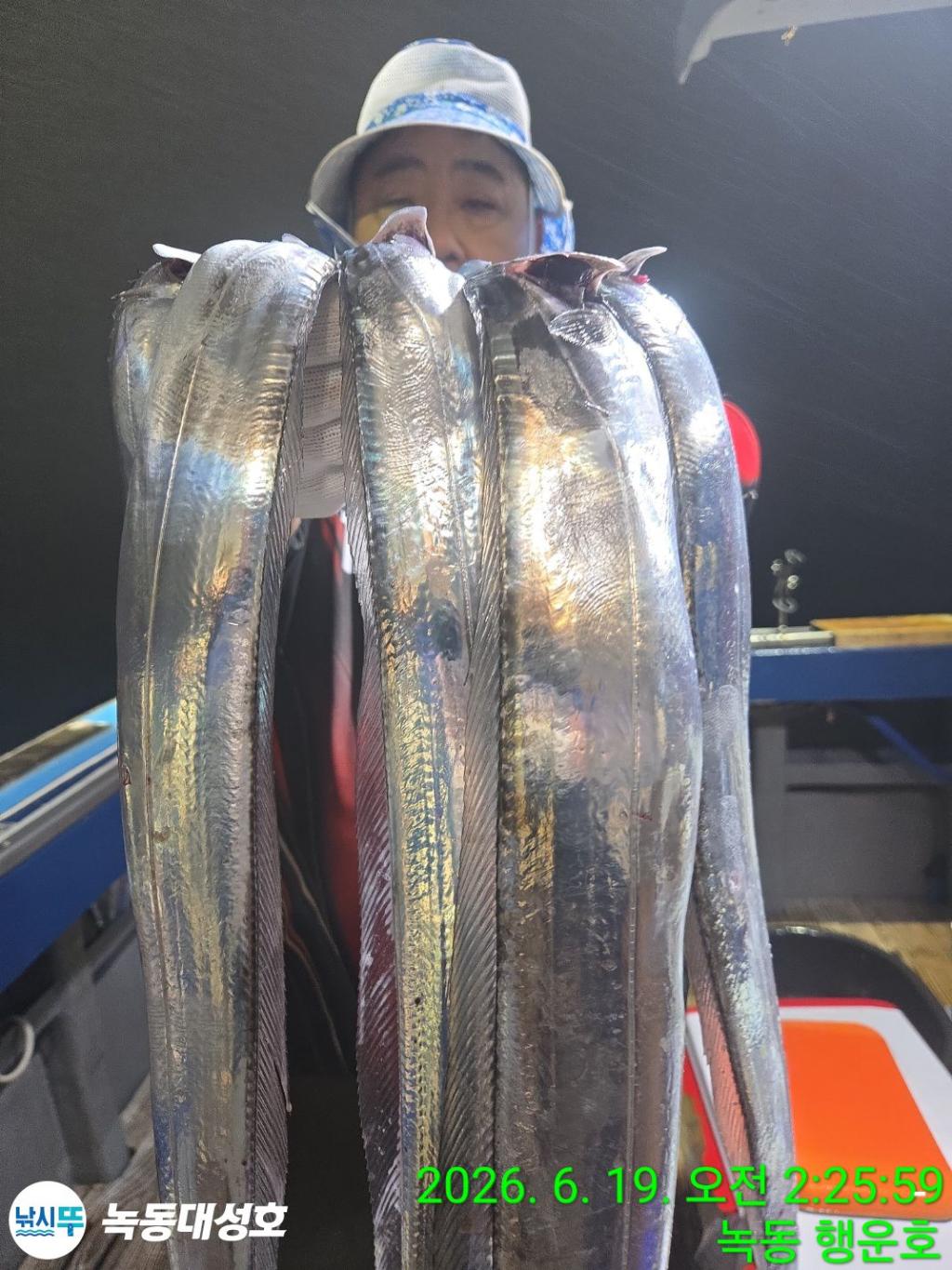 낚시뚜,갈치,녹동항,녹동대성호,낚시뚜10