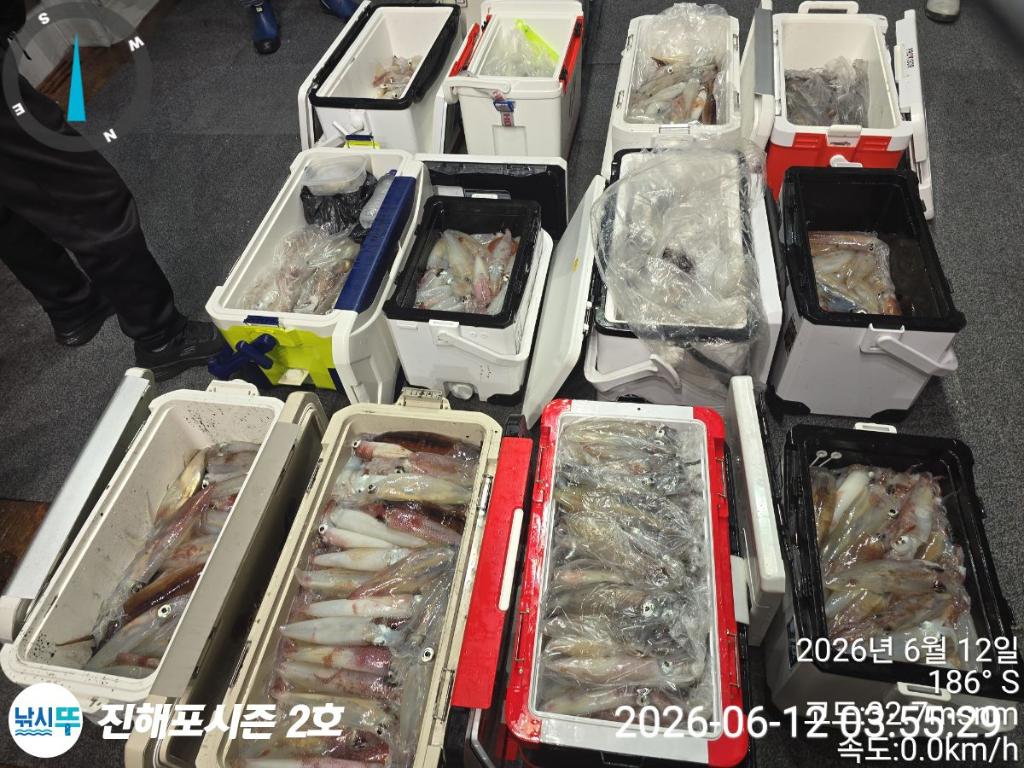 낚시뚜,한치,진해행암항,진해포시즌 2호,낚시뚜0