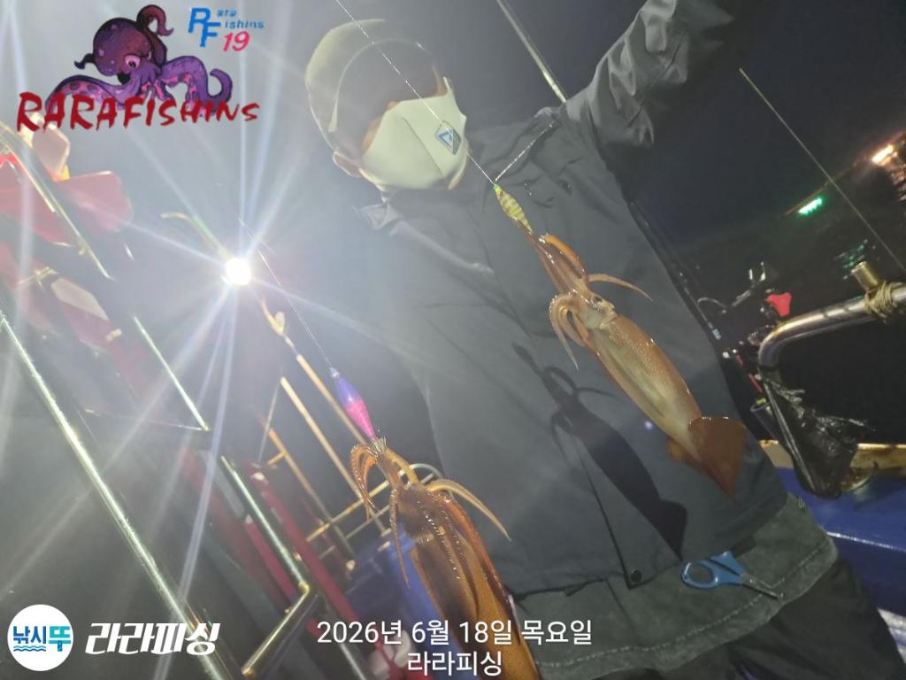 낚시뚜,화살촉오징어,속천항(진해),라라피싱,낚시뚜8