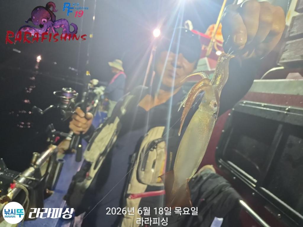 낚시뚜,화살촉오징어,속천항(진해),라라피싱,낚시뚜6