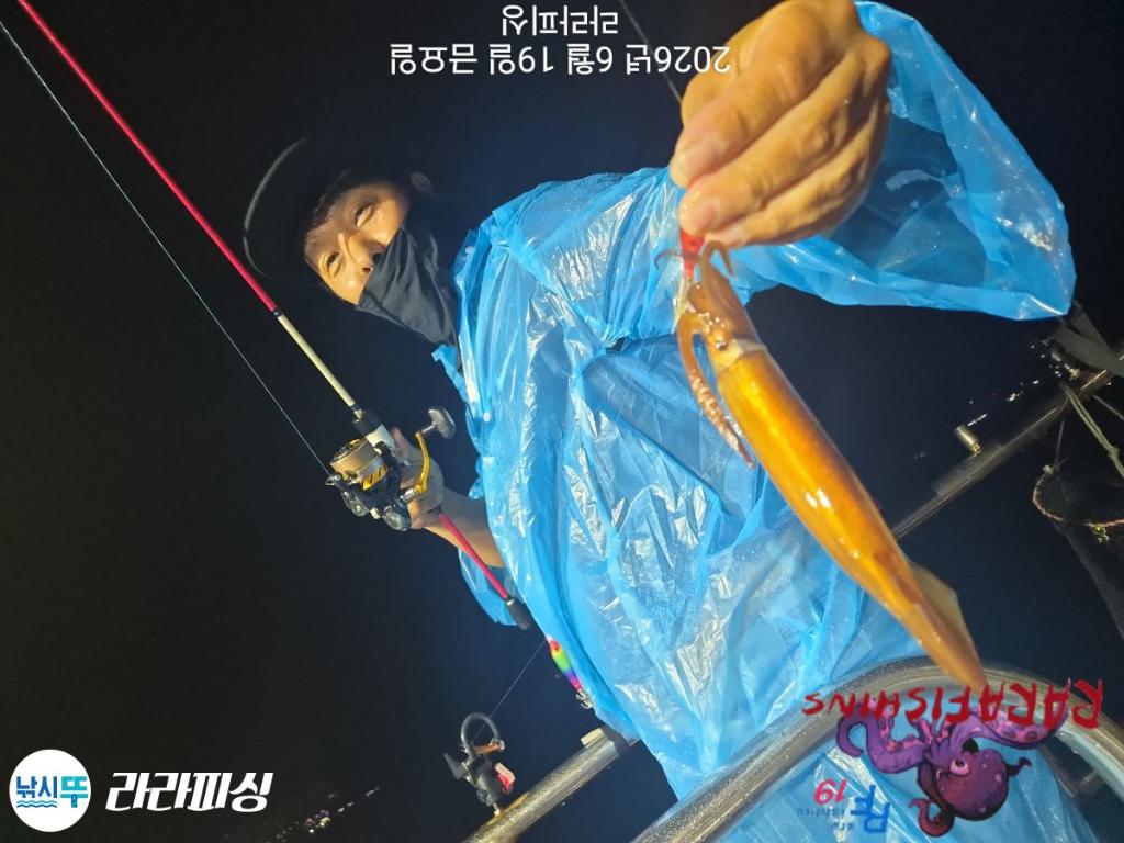 낚시뚜,화살촉오징어,속천항(진해),라라피싱,낚시뚜5