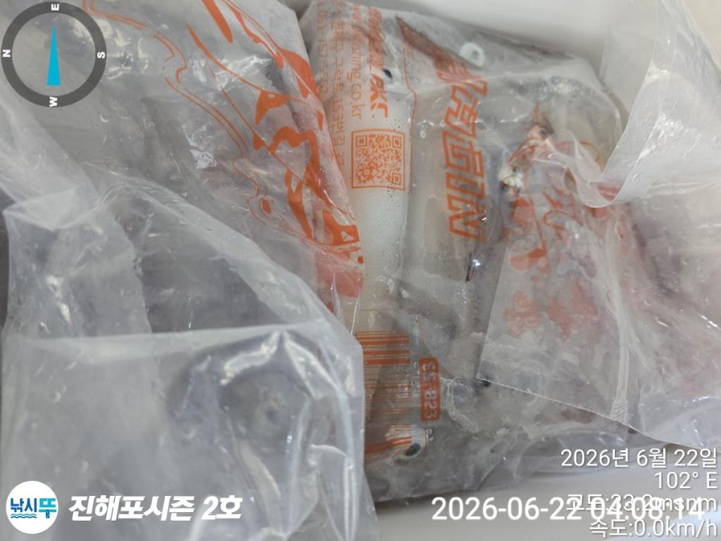 낚시뚜,한치,진해행암항,진해포시즌 2호,낚시뚜9