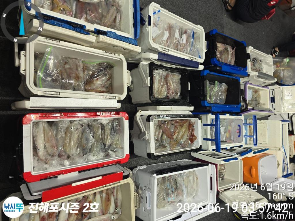 낚시뚜,한치,진해행암항,진해포시즌 2호,낚시뚜7