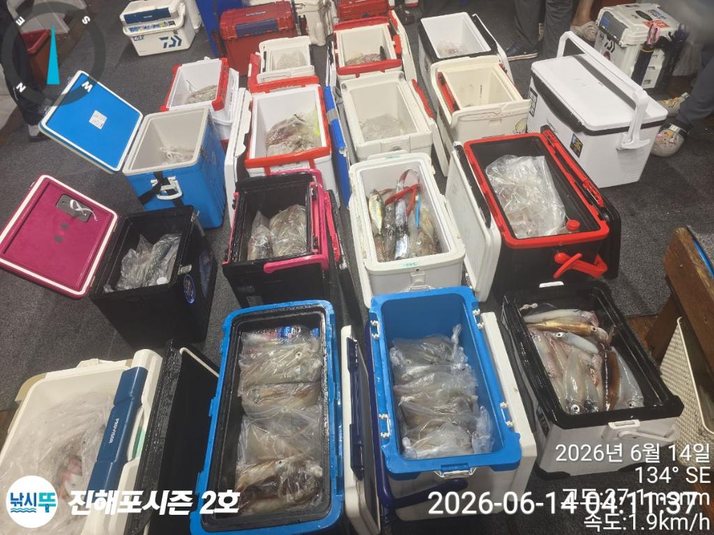낚시뚜,한치,진해행암항,진해포시즌 2호,낚시뚜5