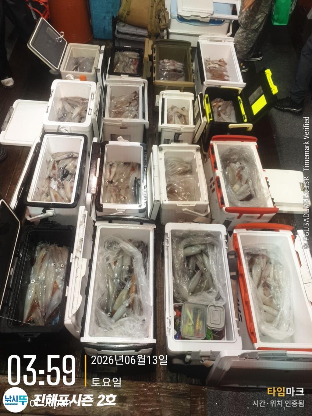 낚시뚜,한치,진해행암항,진해포시즌 2호,낚시뚜0
