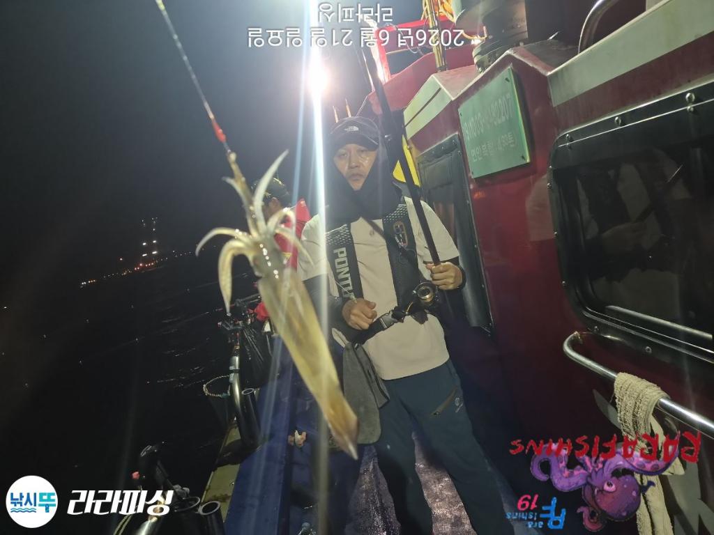 낚시뚜,화살촉오징어,속천항(진해),라라피싱,낚시뚜4
