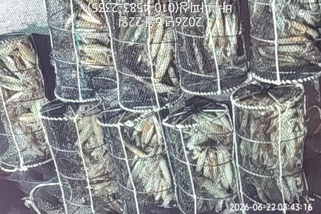 낚시뚜,화살촉오징어,속천항(진해),바루나피싱,낚시뚜10