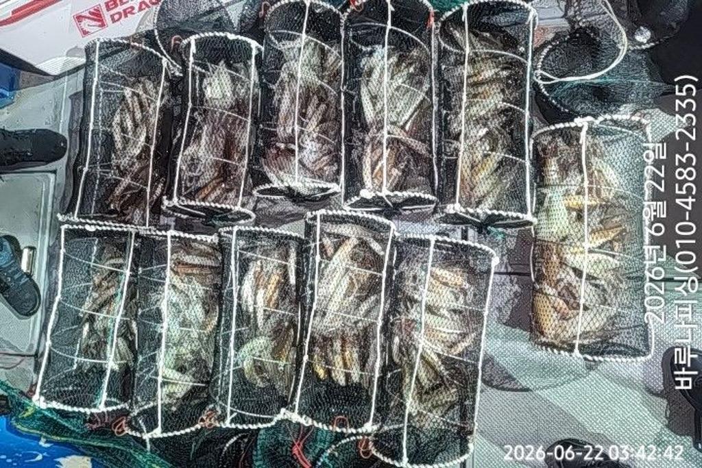 낚시뚜,화살촉오징어,속천항(진해),바루나피싱,낚시뚜9