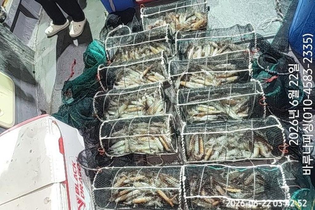낚시뚜,화살촉오징어,속천항(진해),바루나피싱,낚시뚜8