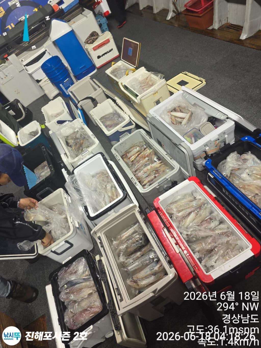낚시뚜,한치,진해행암항,진해포시즌 2호,낚시뚜4