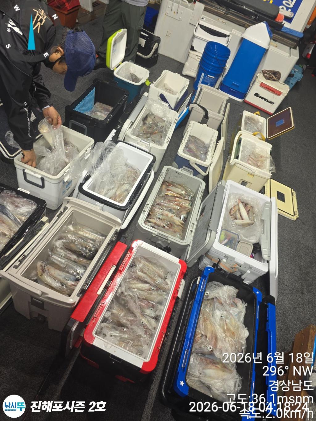 낚시뚜,한치,진해행암항,진해포시즌 2호,낚시뚜3