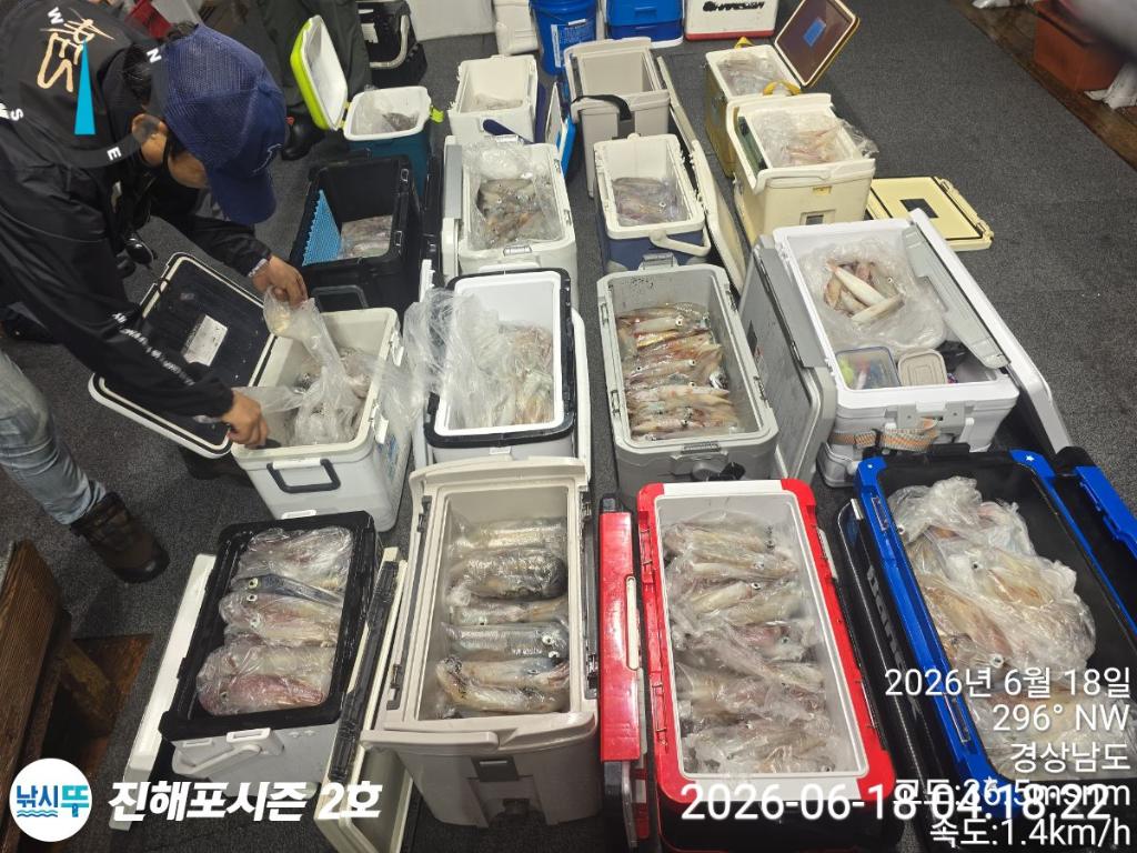 낚시뚜,한치,진해행암항,진해포시즌 2호,낚시뚜2