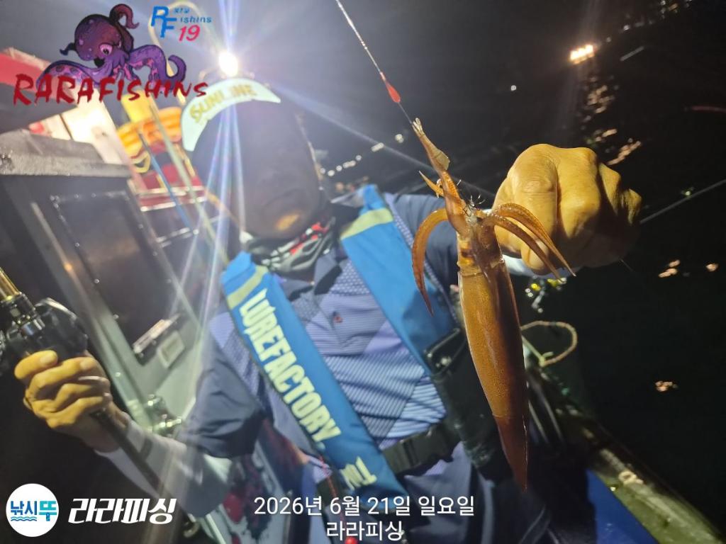 낚시뚜,화살촉오징어,속천항(진해),라라피싱,낚시뚜1