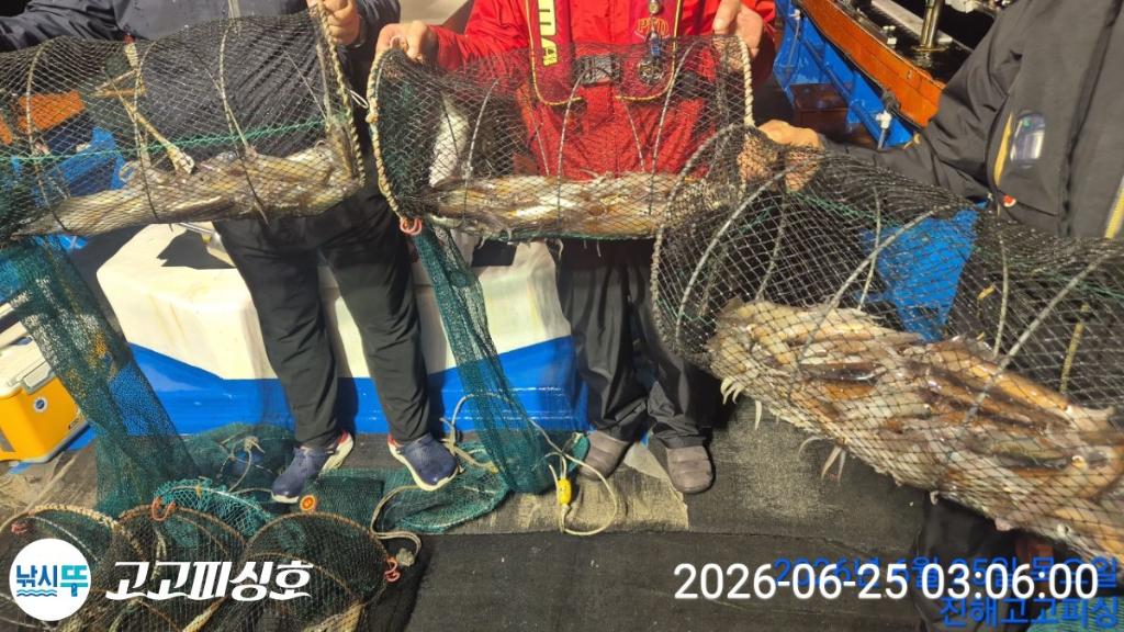 낚시뚜,화살촉오징어,속천항(진해),고고피싱호,낚시뚜2