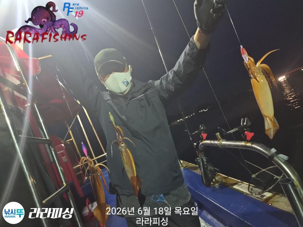 낚시뚜,화살촉오징어,속천항(진해),라라피싱,낚시뚜8
