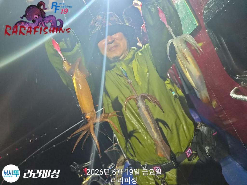 낚시뚜,화살촉오징어,속천항(진해),라라피싱,낚시뚜3