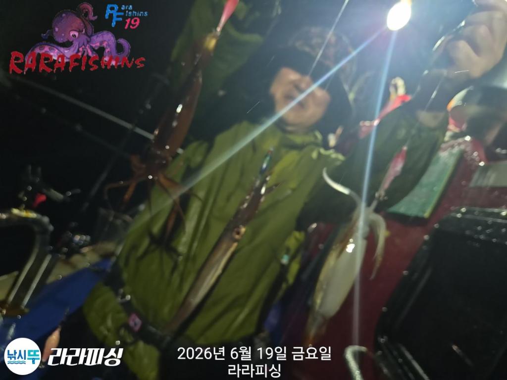 낚시뚜,화살촉오징어,속천항(진해),라라피싱,낚시뚜2