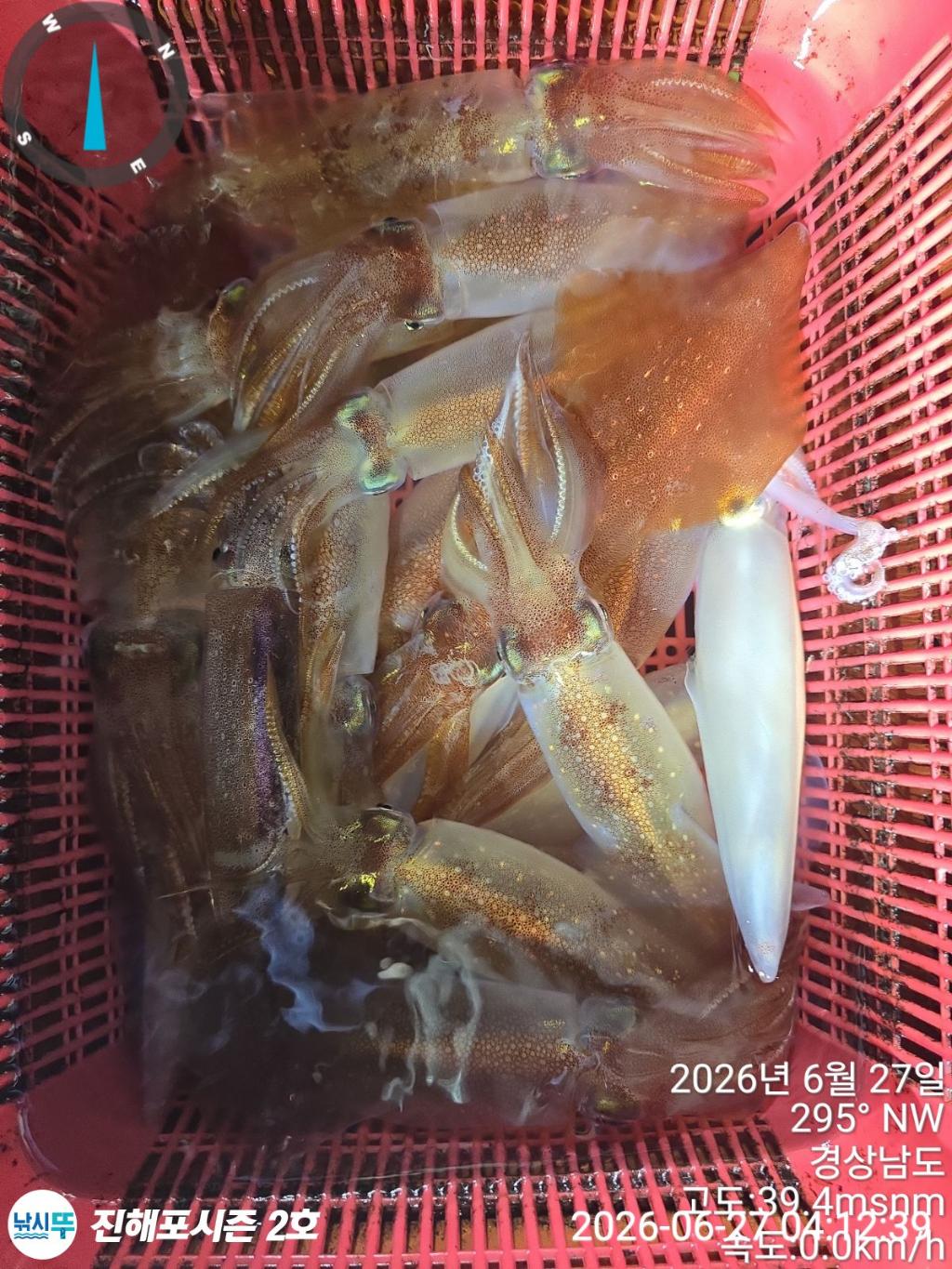 낚시뚜,한치,진해행암항,진해포시즌 2호,낚시뚜10