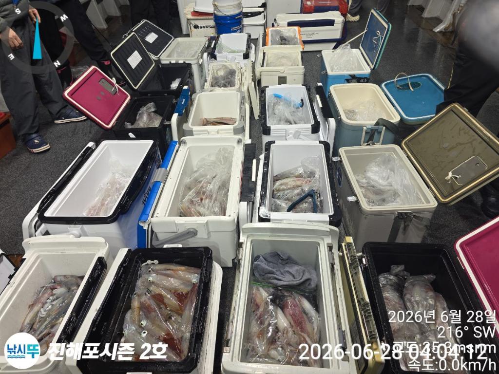 낚시뚜,한치,진해행암항,진해포시즌 2호,낚시뚜17